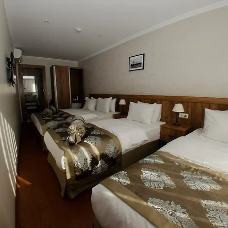 Hotel Old